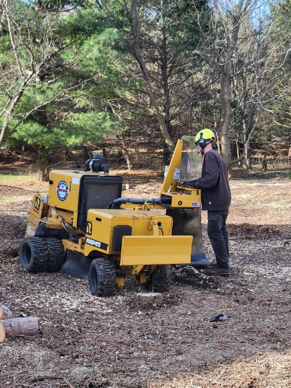 Arborist and his equipment
