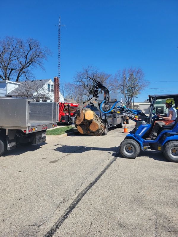 Aspen Ridge Tree Service loading logs