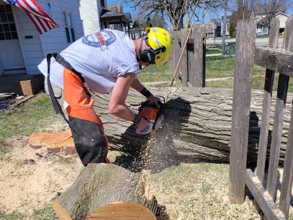 Arborist safely cutting logs with a chainsaw, wearing safety helmet and chaps