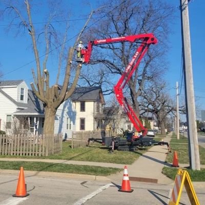 Aspen Ridge Tree Service lift