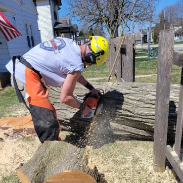 Cutting logs with chainsaw