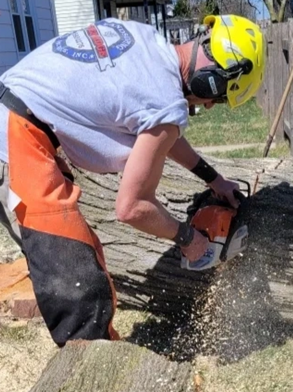 Aspen Ridge Tree Service commitment to safety, cutting logs while wearing helmet and chaps.