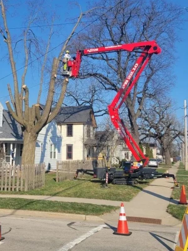 Aspen Ridge Tree Service using a lift to get to high trees