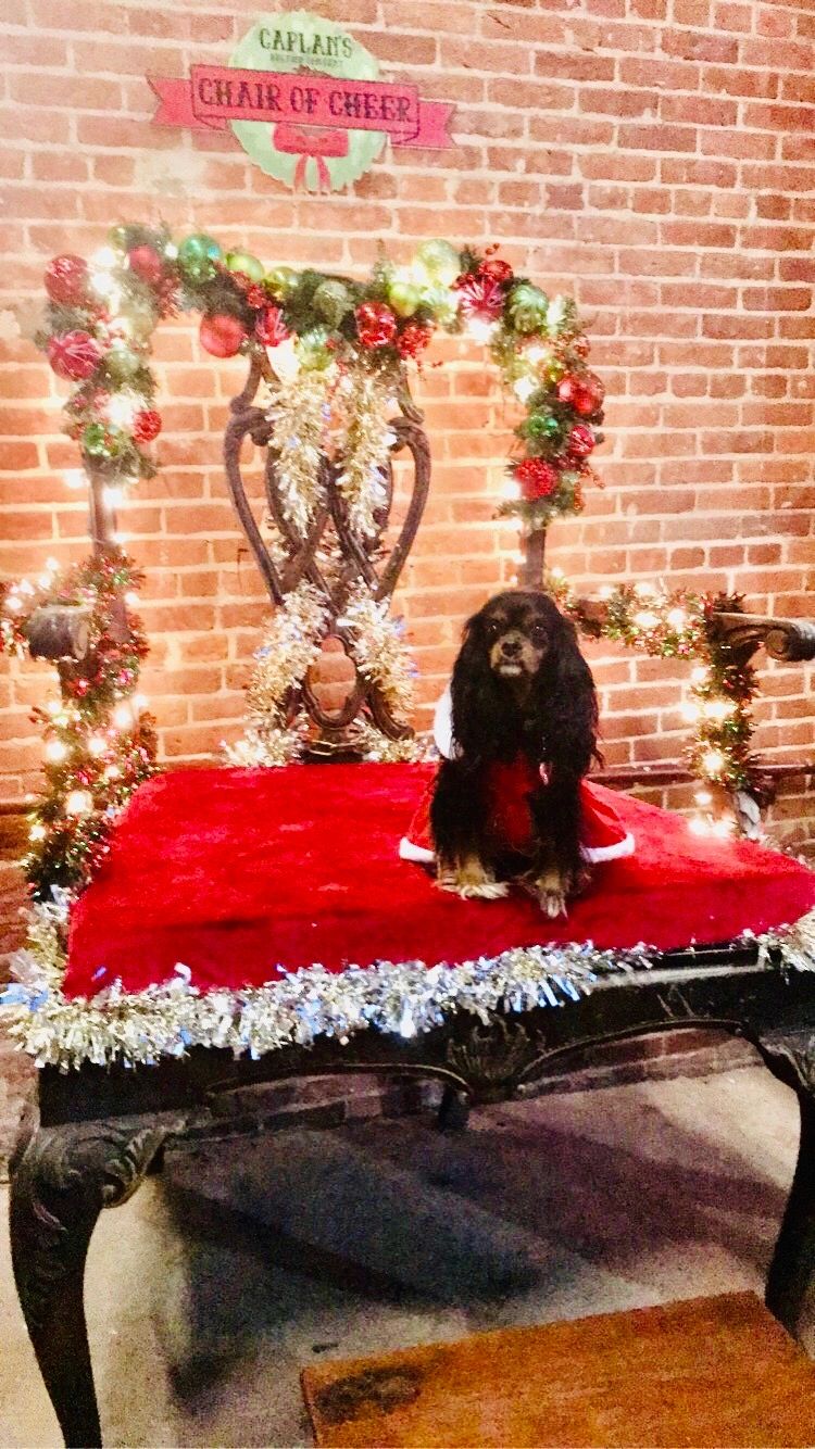 Caplans Auction, Antiques