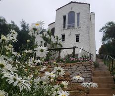 Image of house on hill atop steps with daisies in foreground.