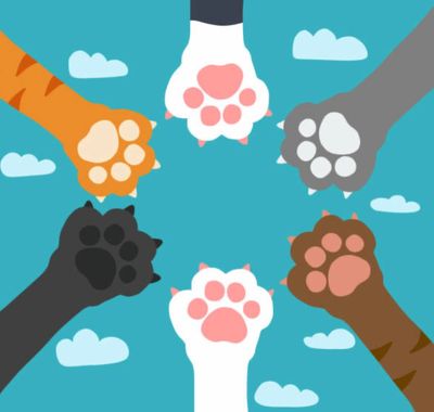 Making a better tomorrow together for community cats