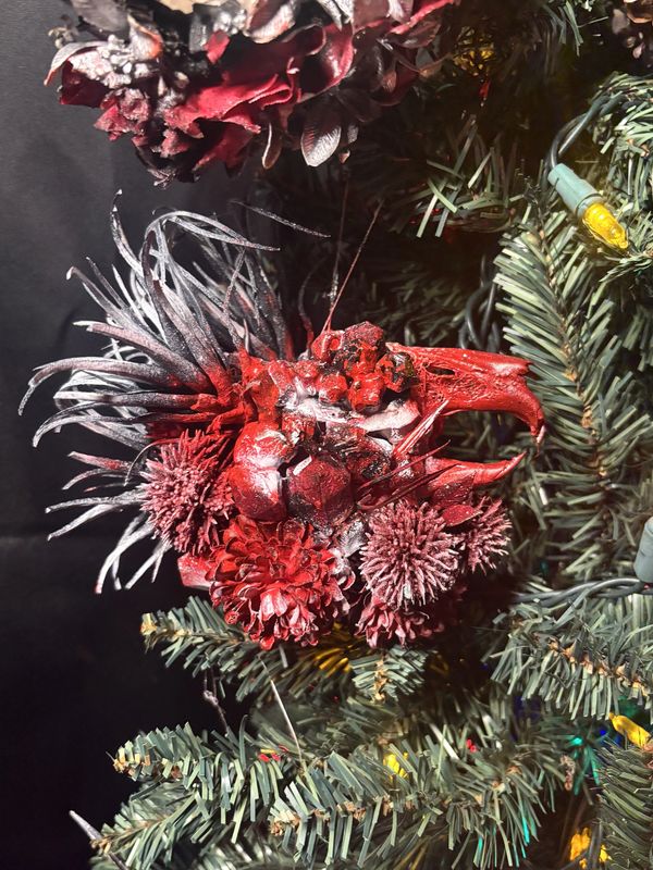A red, spiky floral decoration on a Christmas tree with lights.