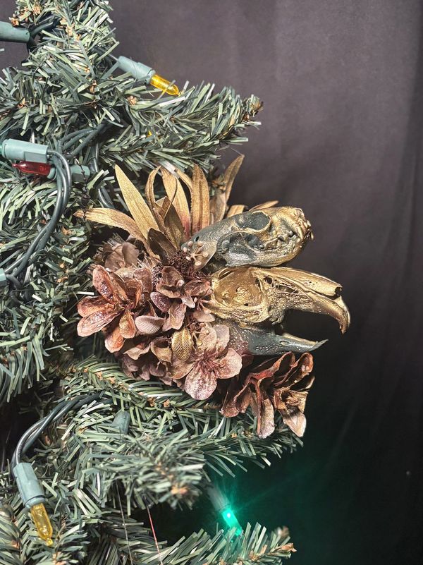 Decorative bird skulls and pinecones on a Christmas tree branch.