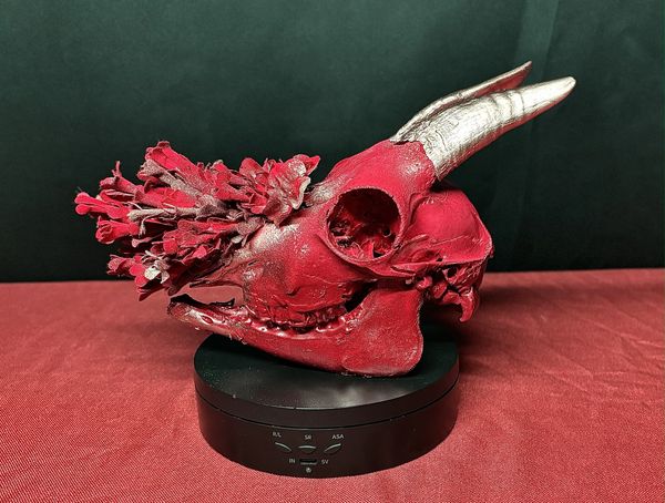 A red-painted animal skull with silver horns and floral decorations on a black base.