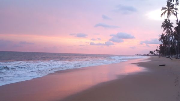 Peaceful beach at sunset with palm trees.