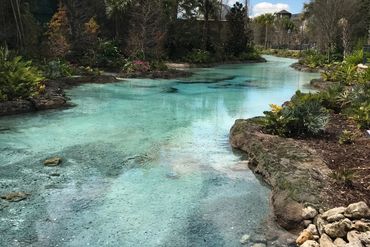 Disney Springs Area.