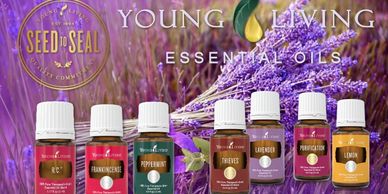 A lineup of Young Living essential oils bottles against a lavender field backdrop.