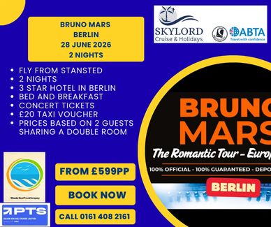 Bruno Mars Concert Flyer