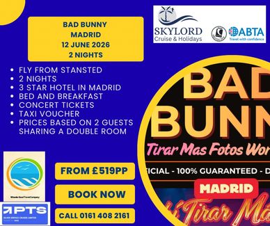 Bad Bunny Concert Flyer