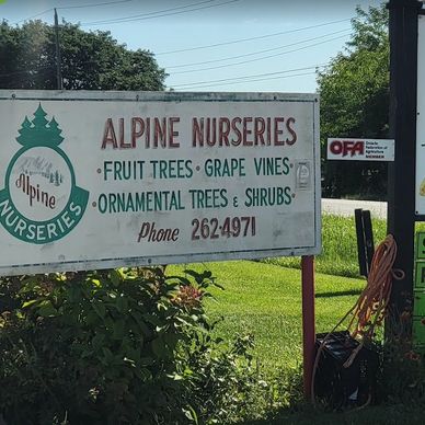 Alpine Nurseries