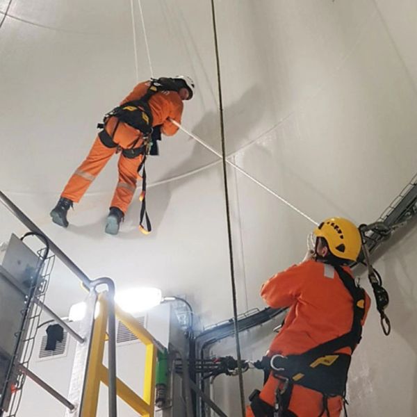 Easy-Qote, Seal for Life