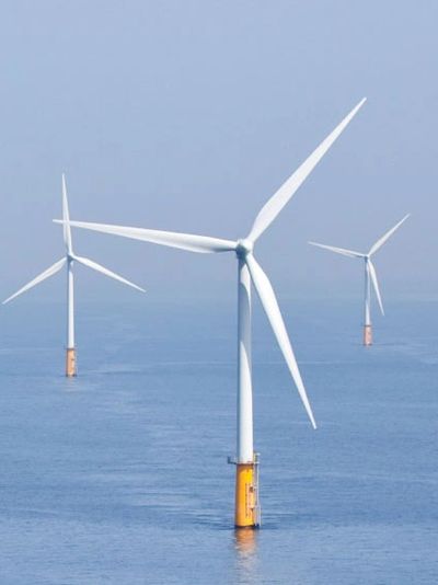 Easy-Qote, Seal for Life