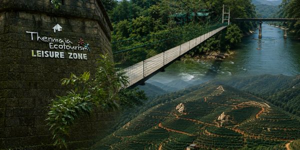 Suspension bridge over river at Themaja Ecotourism Leisure Zone surrounded by lush greenery.