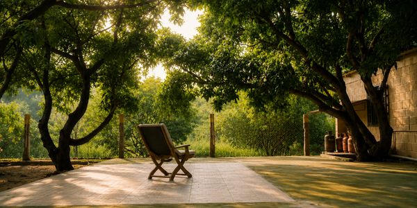 A solitary chair on a tiled patio under lush trees with warm sunlight.