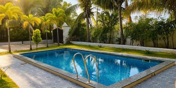A serene backyard pool surrounded by palm trees and greenery.