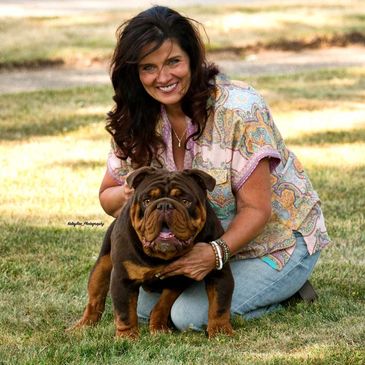 English Bulldog stud in Wisconsin
The General