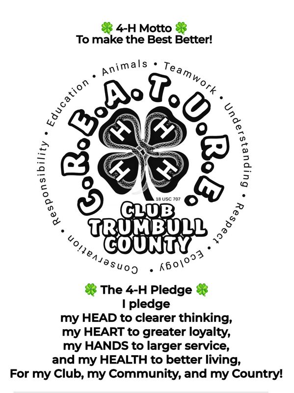 4-H Club Trumbull County motto, pledge, and core values illustration.
