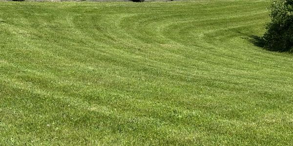 Several white trucks are parked on the edge of a freshly mowed grassy field.