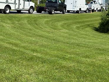Several white trucks are parked on the edge of a freshly mowed grassy field.