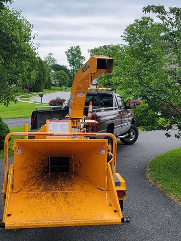 Tree Service & Chipping