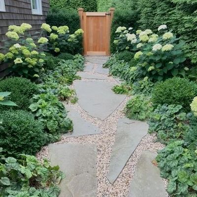 Sag Harbor, Pathway to the pool.  Filled with green on green planting with a touch of white.