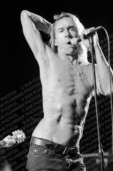 Iggy Pop