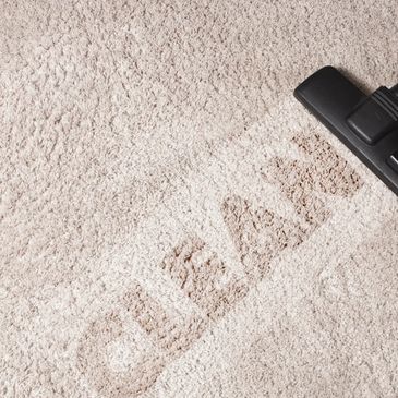Shampooed carpet, cleaned by On Deck Cleaning Co