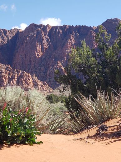 Red desert with mountains and vegetation.