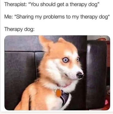 Too many problems for a therapy dog