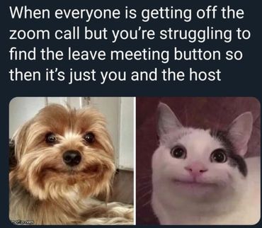When you can't find the "Leave Meeting" button on a Zoom call