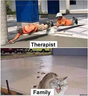 Cat walking across wet concrete. Therapy meme.