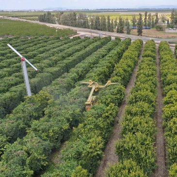 Aerial view of a green farm with a wind turbine and machinery.