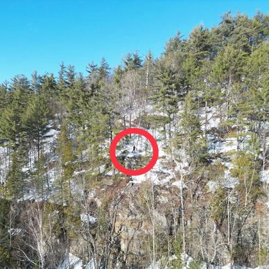 Félix Pigeon Courtier immobilier
Terrain
Terre à bois à vendre
Érablière
Acres
Arpents
Hectare