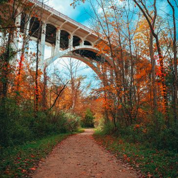 A scenic path under a white bridge surrounded by autumn trees.