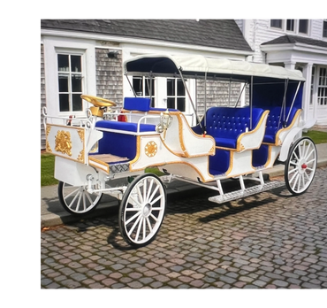 Elegant white and blue horse-drawn carriage with gold accents.