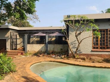 Modern single-story house with a swimming pool and garden.