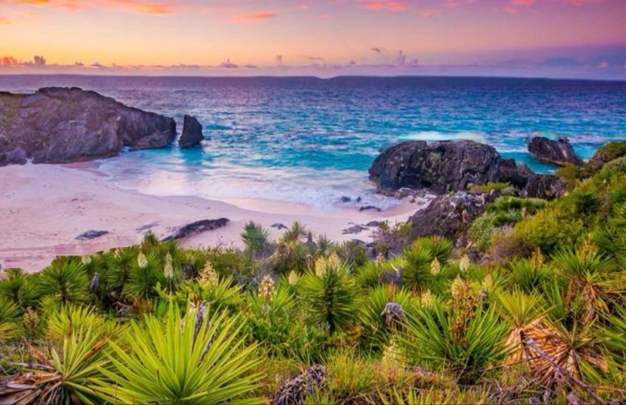 The Cove Deli will be closed from April 13th to the 19th for a short break and some family time… we