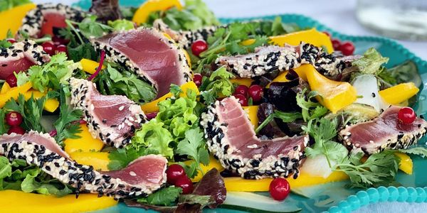 Seared tuna salad served onboard Crazy Horse Yacht.