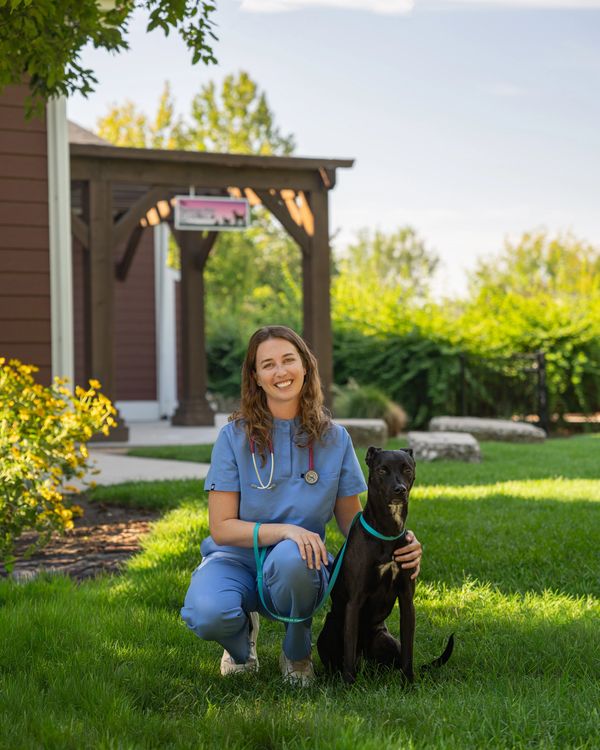 Veterinarian in scrubs kneeling with a black dog outside.