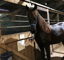 Kathrine H 
Clemintine/Piper