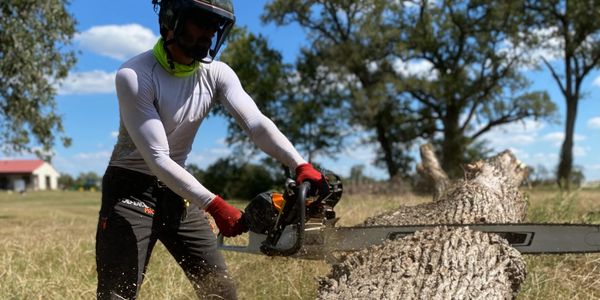 Tree removal, chainsaw, tree cutting, aggie owned, college station, bryan, texas, arborist,