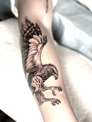 Hawk tattoo black and grey tattoo done by Jason Nicholson in chester county Pennsylvania 