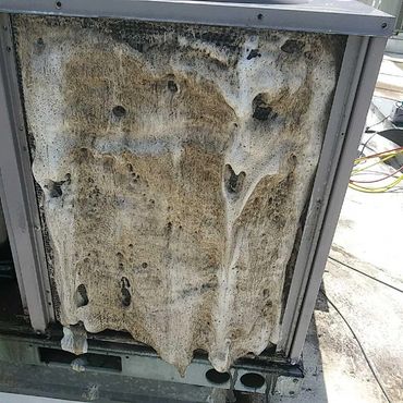 AC Tune Up New Braunfels-BAM HVAC COMPANY LLC
