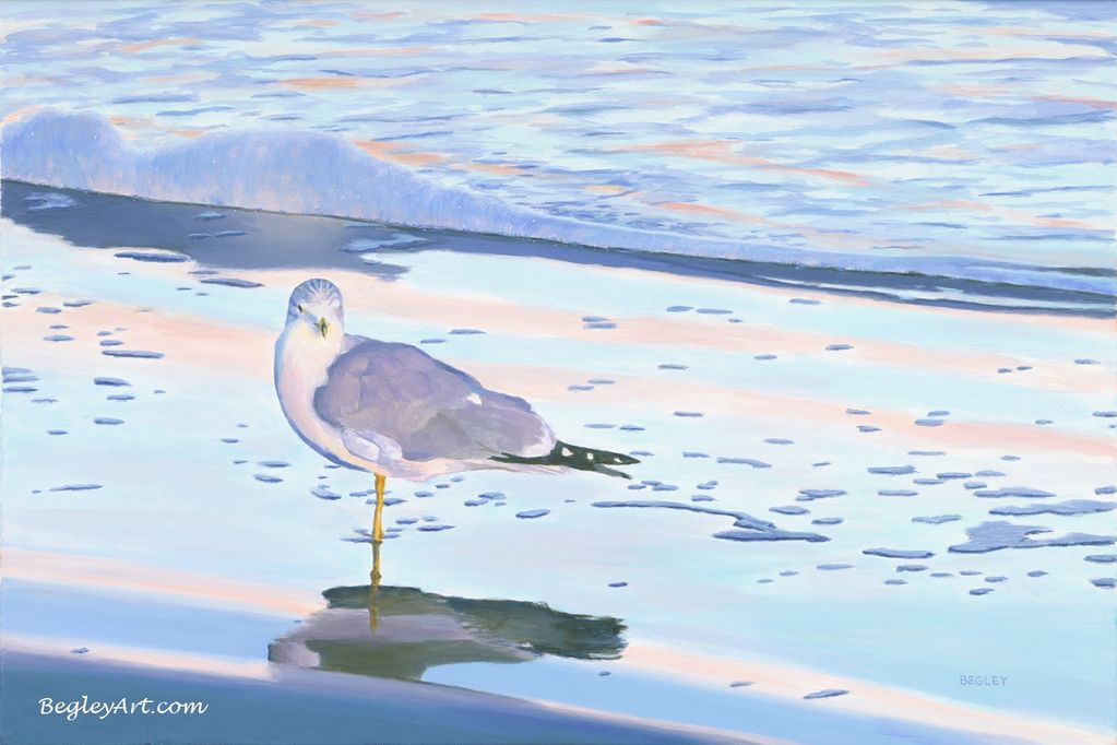 Lone seagull on the beach at sunrise, ocean waves, Florida