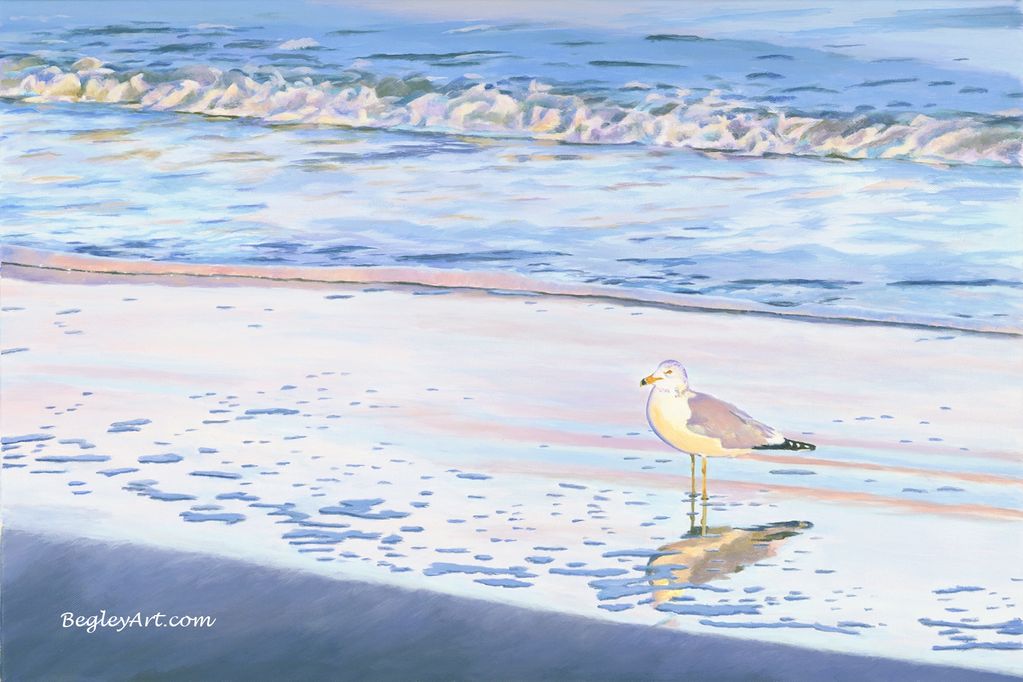 Lone seagull at sunrise on the beach, Florida, ocean waves